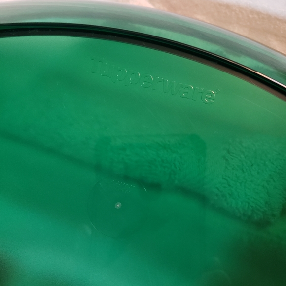 Vintage Tupperware Butterfly Platter Sheerly Elegant Green Acrylic 5375 - Picture 11 of 12